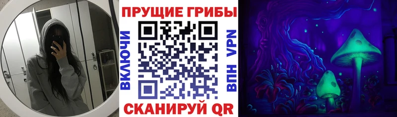 Купить  Дмитров  Галлюциногенные грибы мицелий 