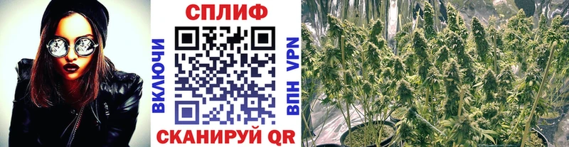 Марихуана индика  Купить  Дмитров 